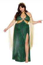 Load image into Gallery viewer, Mistress Medusa Costume for Women – 3 PC Snake Print Dress with Cutouts, Gold Mesh Sleeves & Snake Headpiece