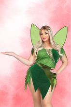 Load image into Gallery viewer, Plus Size Forest Fairy Costume Set