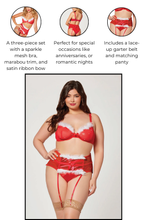Load image into Gallery viewer, Three piece sparkle mesh bra set, Elegant Bra with Matching Panty