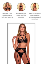 Load image into Gallery viewer, Sheer intentions Bra set
