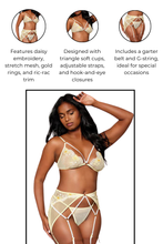 Load image into Gallery viewer, Daisy embroidery mesh bralette set, Three Piece Lace Lingerie Set