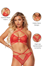 Load image into Gallery viewer, Sultry Two-Piece Fishnet Bra & Bikini Panty Set