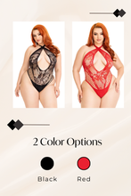 Load image into Gallery viewer, Scallop sequin embroidery teddy