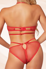 Load image into Gallery viewer, Sultry Two-Piece Fishnet Bra & Bikini Panty Set