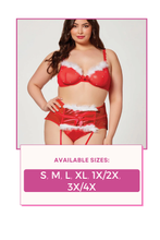 Load image into Gallery viewer, Three piece sparkle mesh bra set, Elegant Bra with Matching Panty