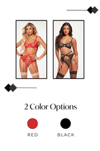 Load image into Gallery viewer, Three Piece All Fishnet Bra Set, Seductive Lingerie Set