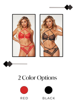 Load image into Gallery viewer, Sultry Two-Piece Fishnet Bra & Bikini Panty Set