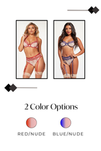 Load image into Gallery viewer, Sexy Two Piece Bra & High-Waisted Panty Set – Sheer Stretch Mesh with Floral Embroidery & Garter Straps