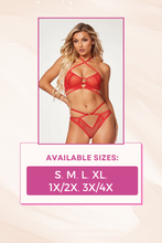 Load image into Gallery viewer, Sultry Two-Piece Fishnet Bra & Bikini Panty Set