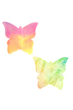 Load image into Gallery viewer, Rainbow Sherbet Tie Dye Butterfly Kisses Pasties