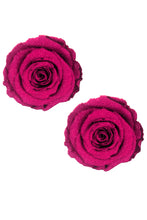 Load image into Gallery viewer, Freaking Awesome Roses Are Red Nipztix Pasties