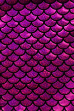 Load image into Gallery viewer, Highwaisted Mermaid Briefs