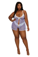 Load image into Gallery viewer, Lace and Gingham Printed Mesh Babydoll and Panty Set