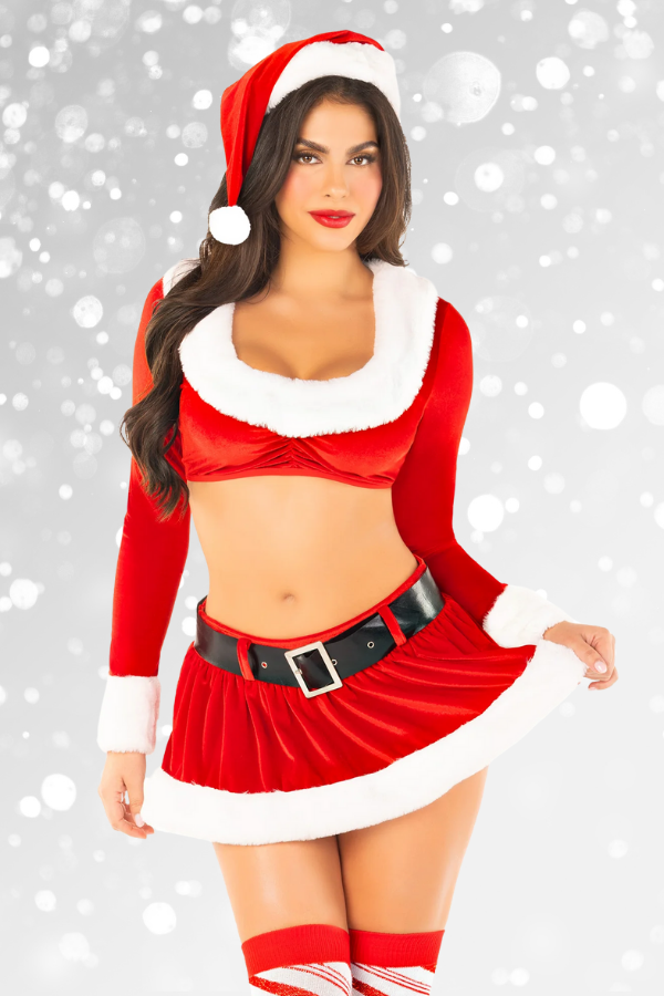 HoHo Hottie Santa Costume, Four Piece Sexy Christmas Costume