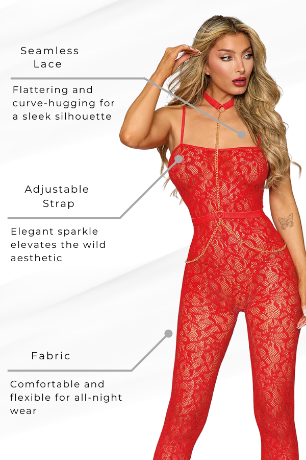 Seamless Lace Bodystocking and Harness Set, Footless Lace Bodystocking