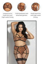 Load image into Gallery viewer, Leopard Print Mesh Bra Set with Strappy Elastic Details – Sexy High Waist Thong with Attached Garters &amp; Gold Hardware
