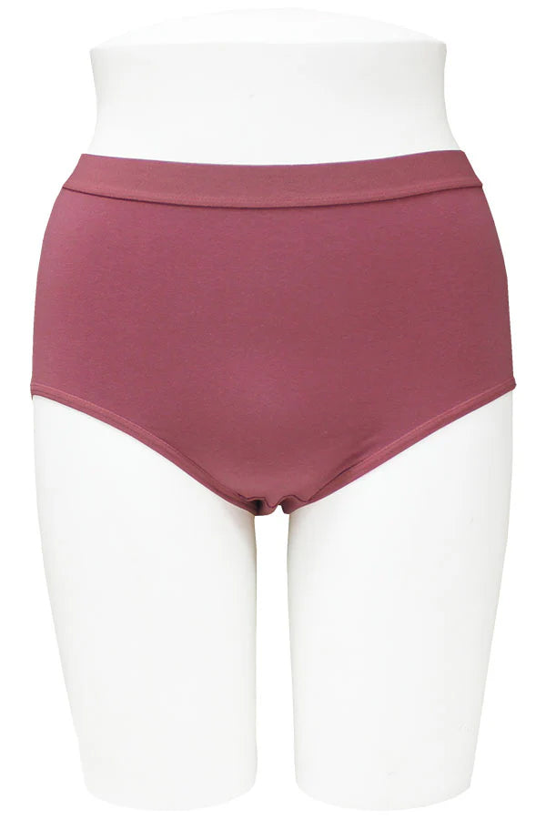Cotton Panty with Elastic Waistband (1 Pack - 6 pieces)