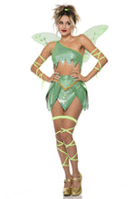 Load image into Gallery viewer, Fantasy Fairy Costume Set
