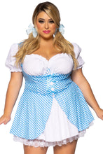 Load image into Gallery viewer, Plus Gingham Dress With Split Skirt, Dorothy Farm Girl Costume Set
