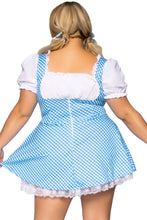 Load image into Gallery viewer, Plus Gingham Dress With Split Skirt, Dorothy Farm Girl Costume Set
