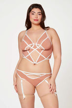 Load image into Gallery viewer, Two Piece Mesh Bra and Panty Set
