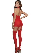 Load image into Gallery viewer, Sheer Garter Bodystocking with Thigh High
