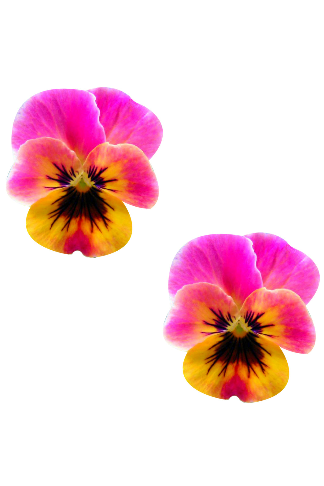 Freaking Awesome Flower Pansy Nipztix Pasties