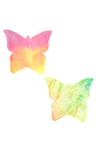 Load image into Gallery viewer, Rainbow Sherbet Tie Dye Butterfly Kisses Pasties
