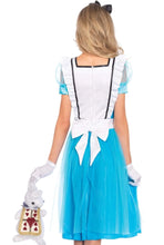 Load image into Gallery viewer, Classic Alice Costume
